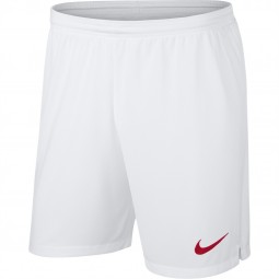 Nike Türkei Hose zum Trikot Nationalmannschafts Short