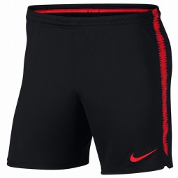 Türkei Nationalmannschafts Hose Nike Short zum Trikot